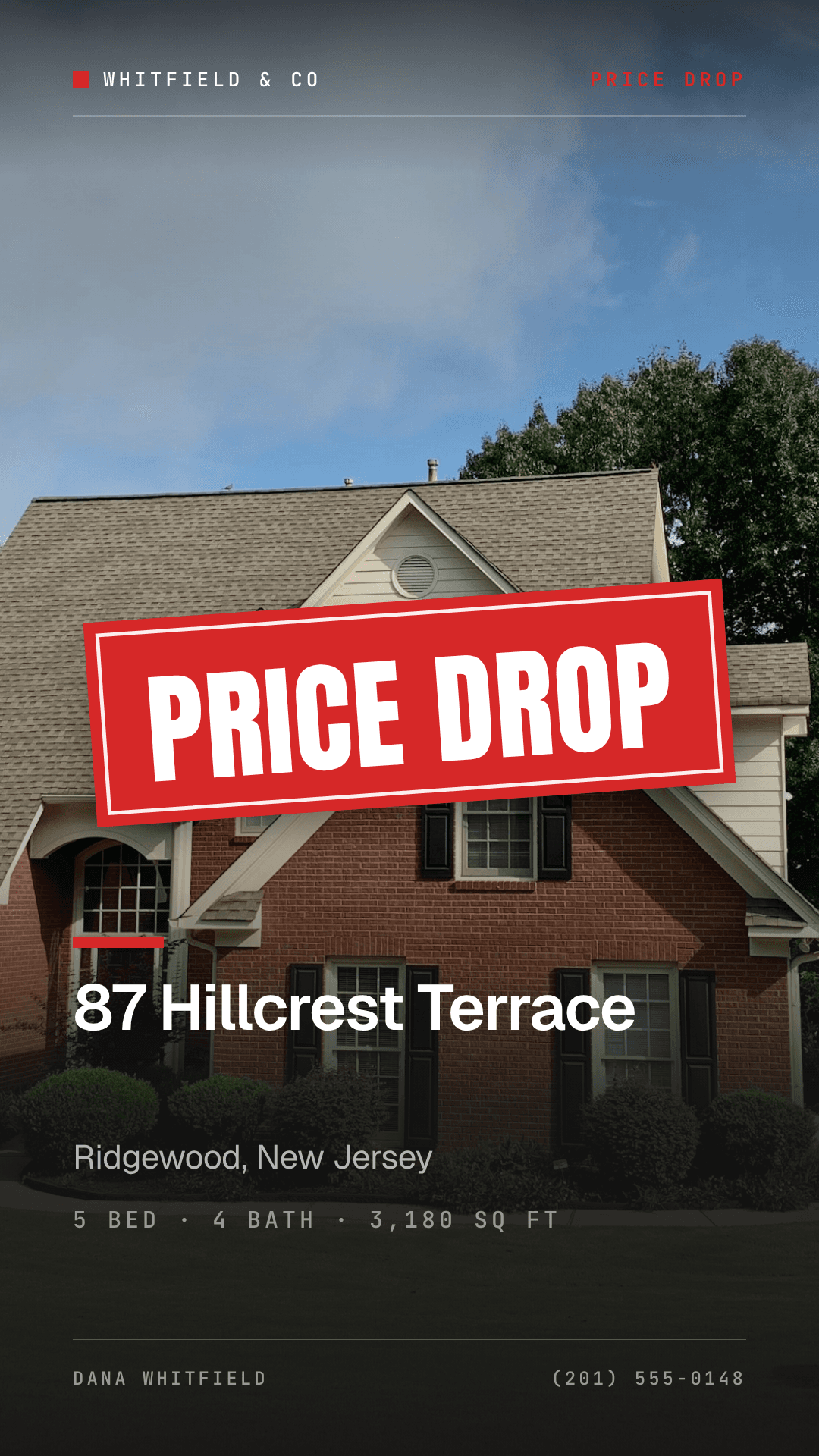 Price Just Dropped template preview